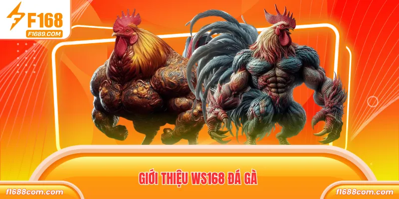 Giới thiệu WS168 đá gà